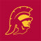 University of Southern California USC Gold Trojan Mascot PS5 Console Skin
